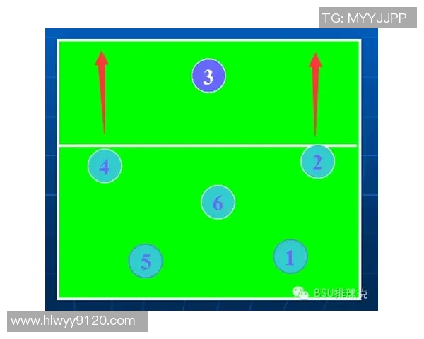 杭州排球队战术深度解析:从技术细节到团队协作的全面剖析